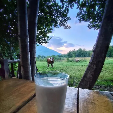 Farm stay Simetic